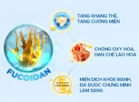 Fucoidan đạm sữa là gì? Công dụng đối với sức khỏe con người