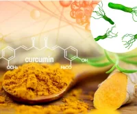 Sản phẩm Fucoidan và Nano Curcumin bán ở đâu chính hãng?