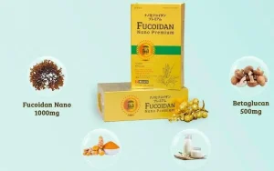 phong-tranh-ung-thu-luoi-voi-fucoidan-nano-premium.jpg